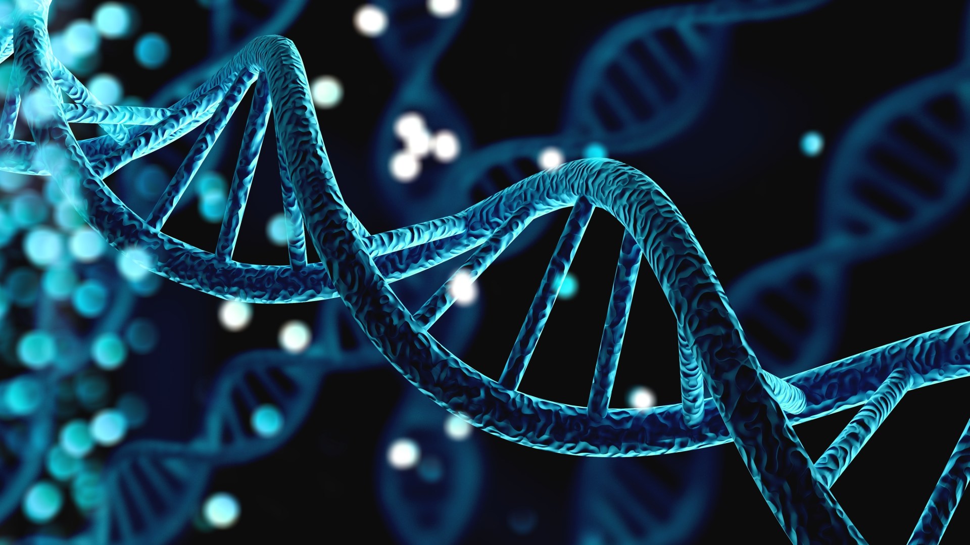 Elica DNA