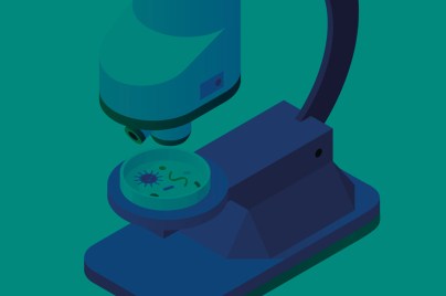 Image for Conoscere i vaccini