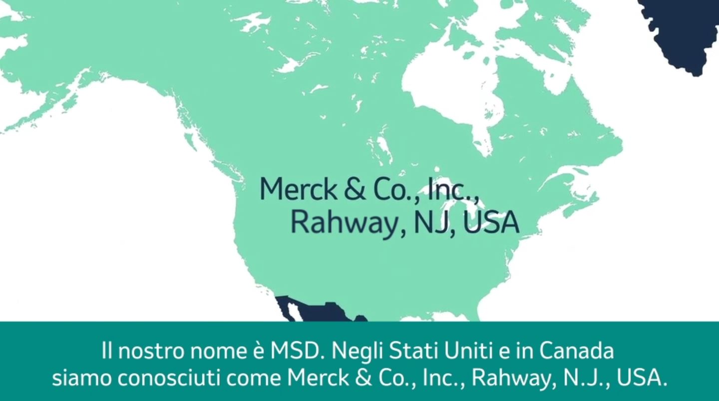 cartina geografica del nord america