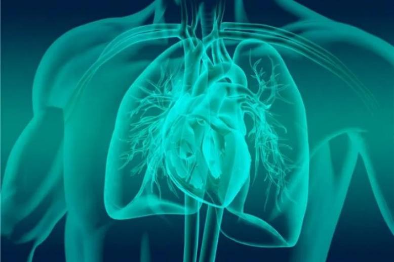 Immagine di un cuore
